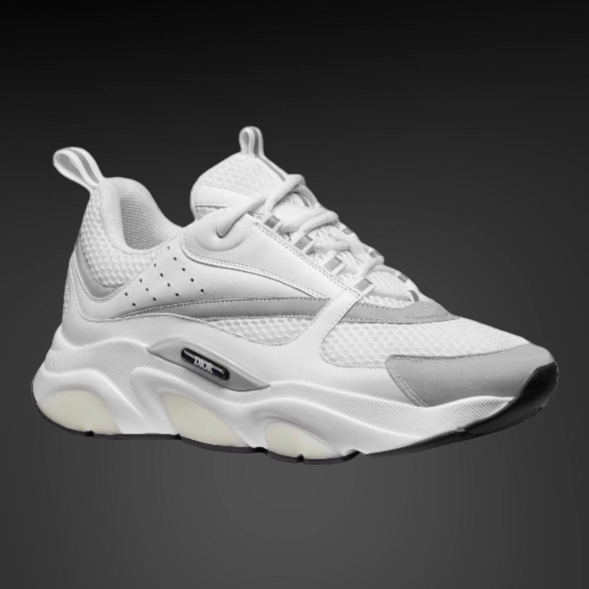 Dior White & Silver 'B22' Sneakers